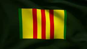 VIETNAM SERVICE RIBBON FLAG