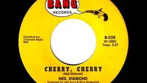 1966 HITS ARCHIVE: Cherry, Cherry - Neil Diamond (mono)