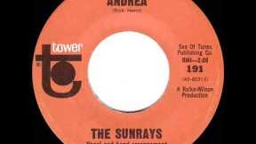 1966 HITS ARCHIVE: Andrea - Sunrays (mono 45)